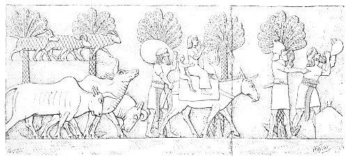 Fig. 31.&mdash;Convoy of prisoners. Kouyundjik. From Layard.