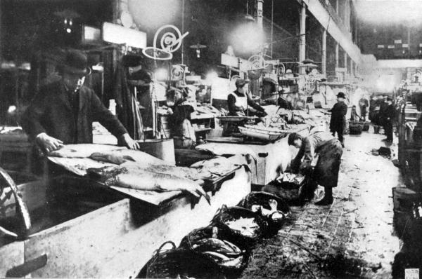 INTERIOR OF THE BERLIN CENTRAL MARKET

The Fish Section of the Great Municipal Market of the German Capital.