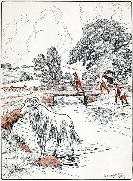 "Before they could run across the bridge, Old Bell Wether
walked up out of the creek and started for home"