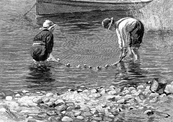 SETTING THE CRAB NET.&mdash;Drawn by C.&nbsp;S. Reinhart.
