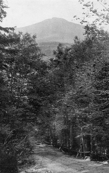 "The air is spiced with the fragrance of balsam fir ...
on the way to Crawford Notch"