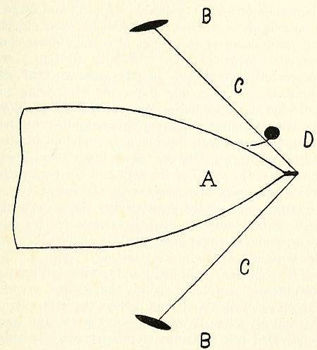 Fig. 30.&mdash;Plan showing the chief characteristics of the paravane mine defence gear.