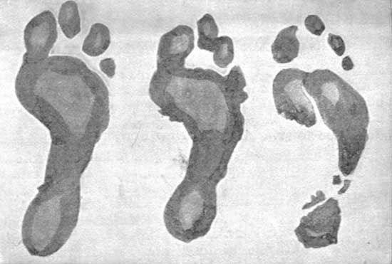 FOOTPRINTS.&mdash;(1) WHEN RUNNING. (2) STANDING. (3) WALKING.


