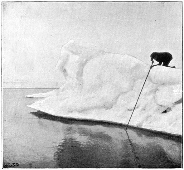 Blessing fishing for alg&aelig;