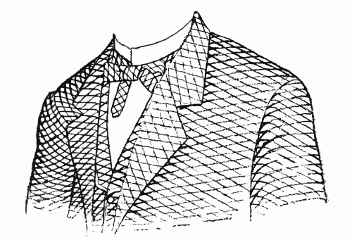 LINE EFFECT FOR DRESS.

From the Annual Encyclopedia. Copyrighted, 1891, by D. Appleton & Co.