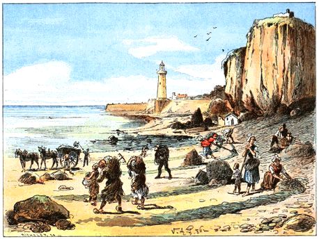 La R�colte du Varech