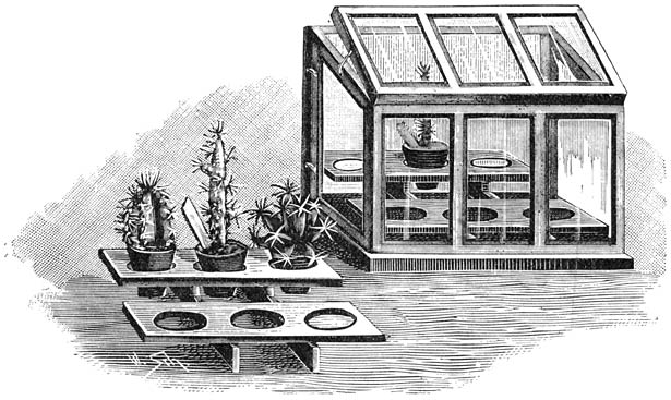 Fig. 186. Kamerkasje voor kleine Cactee&euml;n.