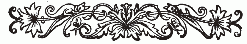 imagen (barra decorativa) no est� disponible