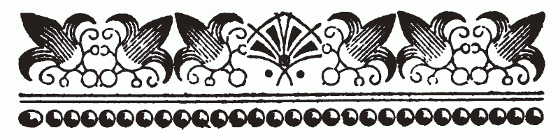 imagen (barra decorativa) no est� disponible