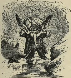 his head was adorned with
two prodigious ears, and a long, thick nose