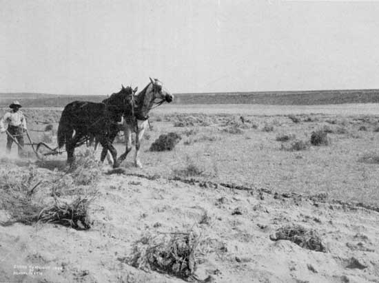 Irrigation&mdash;"First, parched lands of sage; then the flow"
