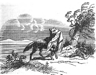 Nero came running up with a red kerchief in his
mouth.