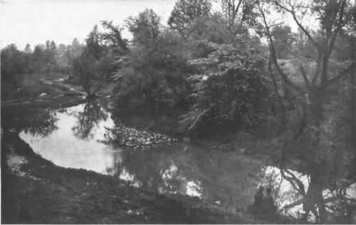 Every stream is wearing away its banks, while trees and
grass blades are holding on to the soil with all their roots