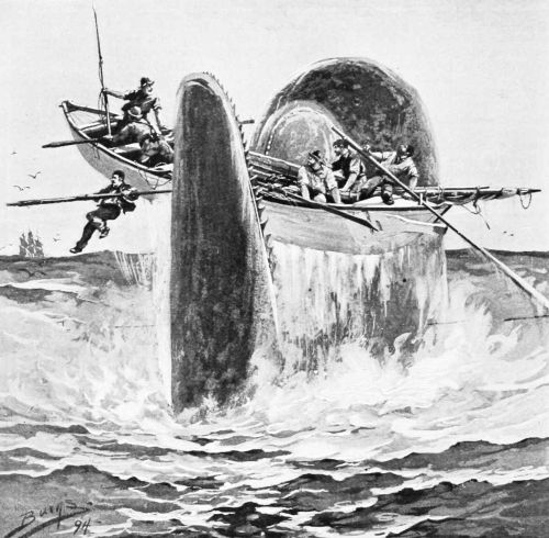 SUDDENLY TWO GREAT WALLS SEEMED TO SHOOT UP OUT OF THE
OCEAN.