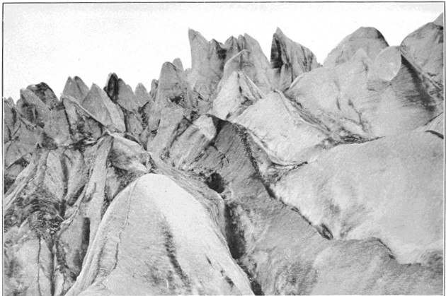 Copyright by E. A. Hegg, Juneau

Courtesy of Webster & Stevens, Seattle

Davidson Glacier
