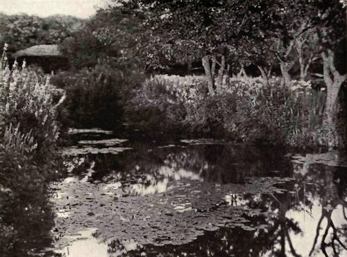 PLATE 68 From photographs by Miss Johnston&mdash;Mrs. Hewitt