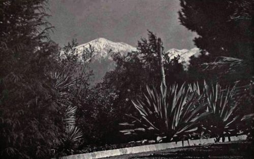 PLATE 152 "Ca&ntilde;on Crest Park," Redlands, Cal. Mrs. Daniel Smiley