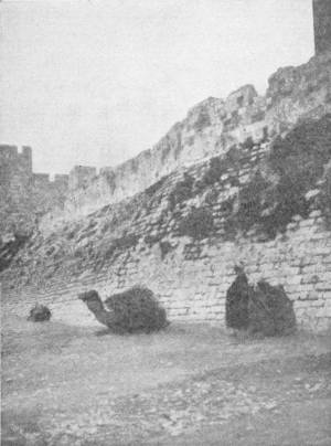 DAVID&rsquo;S TOWER AND WALL OF JERUSALEM