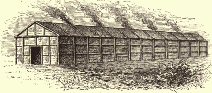 Iroquois Long House. (After Morgan.) Illustration.