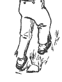 &nbsp;