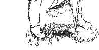 &nbsp;