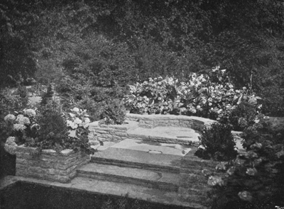 Space in Step and Tank-garden for Lilies, Cannas, and
Geraniums.
