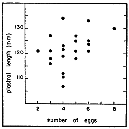 Fig. 6. The relation of plastral length
to number of eggs laid