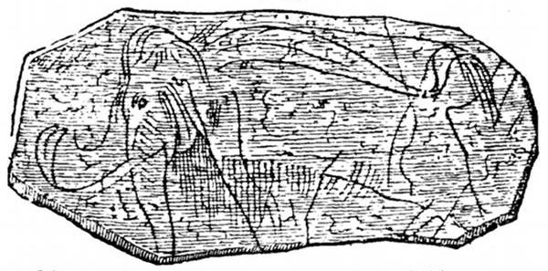 Fig. 79.

Mammoth engraved on ivory by Pal�olithic man.