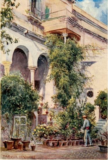 SEVILLE&mdash;GARDENS OF THE ALCAZAR