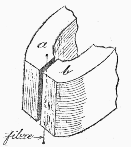 Fig. 2.&mdash;Here we see the working
parts of the "String Galvanometer,"
by which the beating of the heart can
be registered electrically. The current
flows down the fine silvered fibre, between
the poles, a and b, of a powerful
magnet. As the current varies, the fibre
bends more or less.