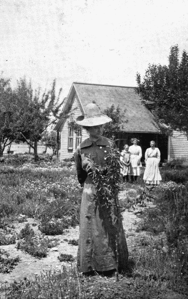 By permission of Dupont Powder Co.

Apple Tree Planted with a Spade

This apple tree was planted in the ordinary way with a spade. Compare its size
with that in following illustration at p. 48.


