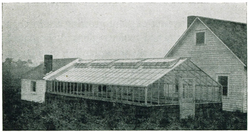 Figure 11.&mdash;A good small greenhouse for plant growing.