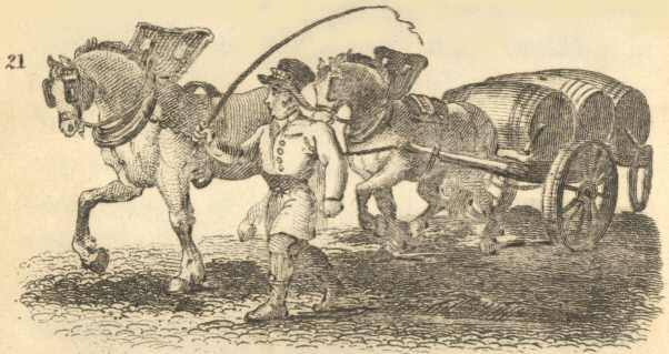 The Brewer&rsquo;s Dray