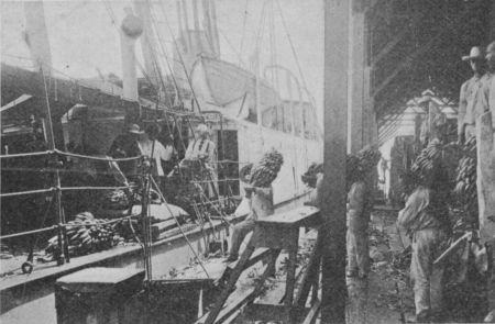 Fig. 53.&mdash;A "Fruiter" taking a Cargo of Bananas.