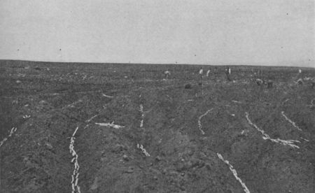 Fig. 24.&mdash;Sowing Sugar Seed.
