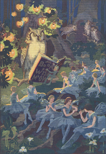 MR. OWL AWAKENED THE FAIRIES AND TOLD THEM TO
LISTEN TO HIS BOOK.