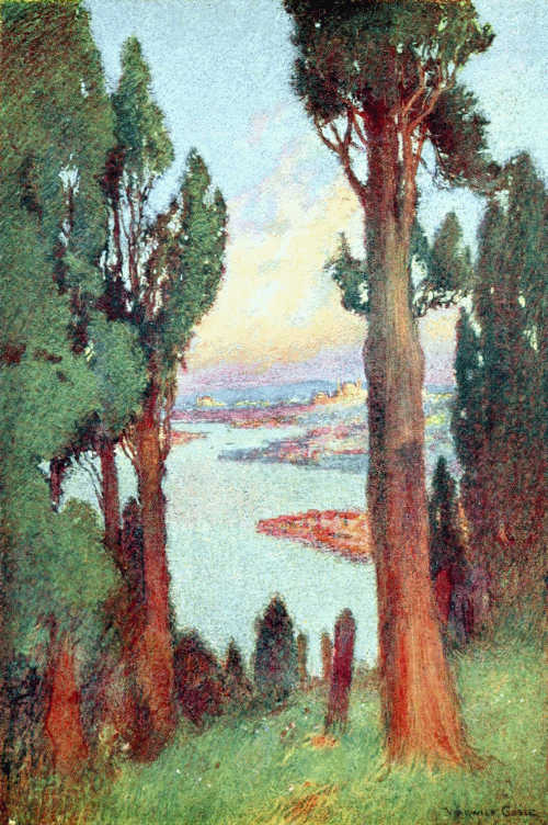 CONSTANTINOPLE AND GOLDEN HORN
FROM THE CEMETERY AT EYOUB