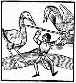 FIG. 21.&mdash;Pygmy and Cranes. From the “Ortus Sanitatis.”
Venice, 1511.