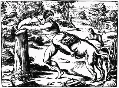 FIG. 59.&mdash;Milo of Crotona. From a print by Boldrini after
Titian.