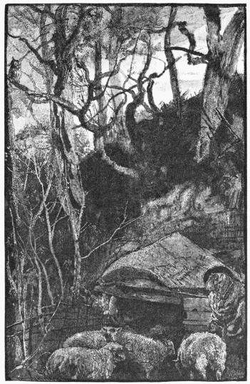 FIG. 80.&mdash;“And silent were the sheep in woolly
fold.”&mdash;KEATS, St. Agnes Eve.
Engraved by J. G. Smithwick.