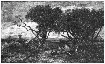 FIG. 81.&mdash;The Old Orchard. Engraved by F. Juengling.