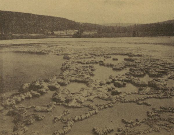 SAPPHIRE POOL&mdash;BISCUIT BASIN