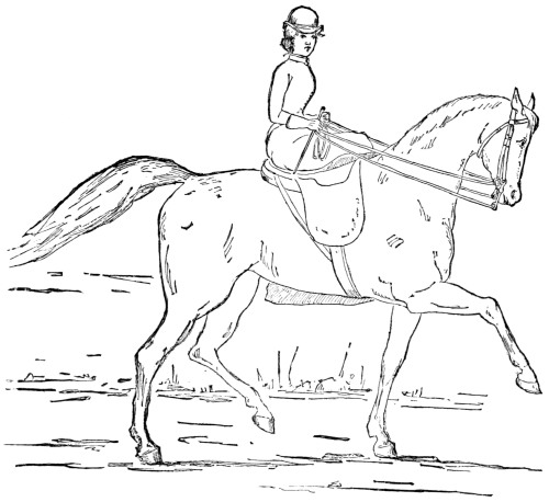 Fig. 29.&mdash;The Walk.