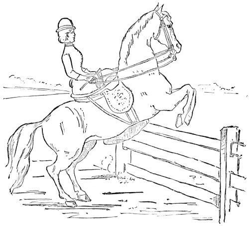 Fig. 33.&mdash;The Standing Leap&mdash;Rising.