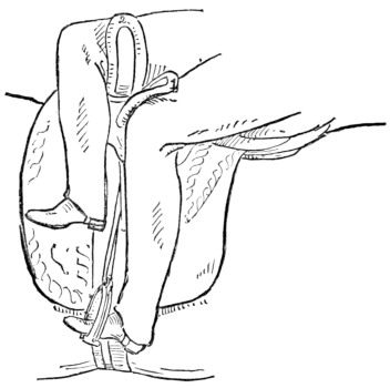Fig. 20.&mdash;Correct seat for a lady. Side view.