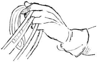 Fig. 27.&mdash;Double bridle: all reins in the bridle-hand.