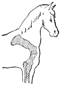 Fig. 5.&mdash;Oblique shoulder.
The angle at the joint being about 45�.