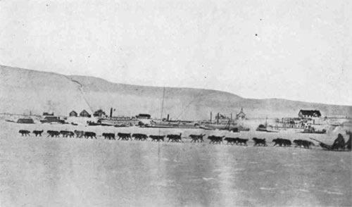 Picture of a thirty-three-dog team
against the background of St. Michael