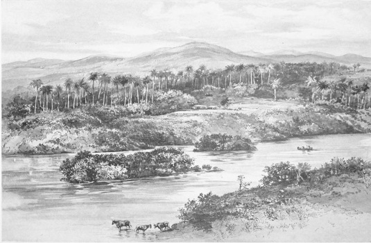ON THE CAUTO RIVER

The Cauto River, traversing Oriente Province, is the largest stream in
Cuba, and is of inestimable value for navigation, for water supply, and
for drainage. It is the salient feature of many fine landscape scenes,
ranging from the idyllic to the majestic.
