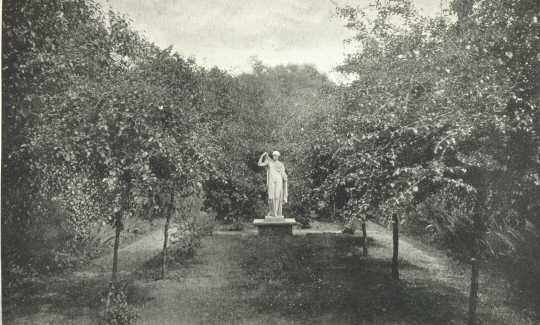 Summer at &lsquo;The Pines&rsquo;&mdash;II
